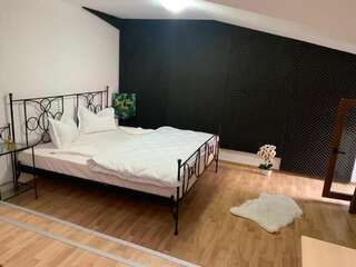 Отель Happy Accomodation Бухарест Двухместный номер Делюкс с 1 кроватью (для 2 взрослых и 1 ребенка)-11