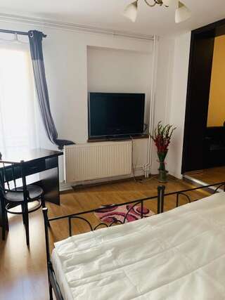 Отель Happy Accomodation Бухарест Двухместный номер Делюкс с 1 кроватью (для 2 взрослых и 1 ребенка)-15