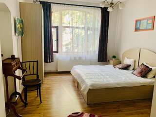 Отель Happy Accomodation Бухарест Двухместный номер Делюкс с 1 кроватью или 2 отдельными кроватями-9