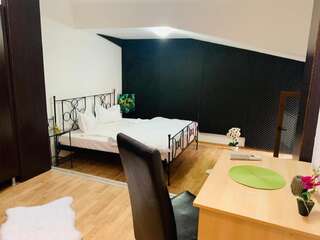 Отель Happy Accomodation Бухарест Двухместный номер Делюкс с 1 кроватью (для 2 взрослых и 1 ребенка)-4