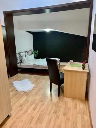 Отель Happy Accomodation Бухарест Двухместный номер Делюкс с 1 кроватью (для 2 взрослых и 1 ребенка)-5