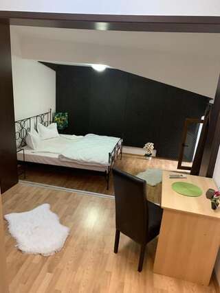 Отель Happy Accomodation Бухарест Двухместный номер Делюкс с 1 кроватью (для 2 взрослых и 1 ребенка)-6